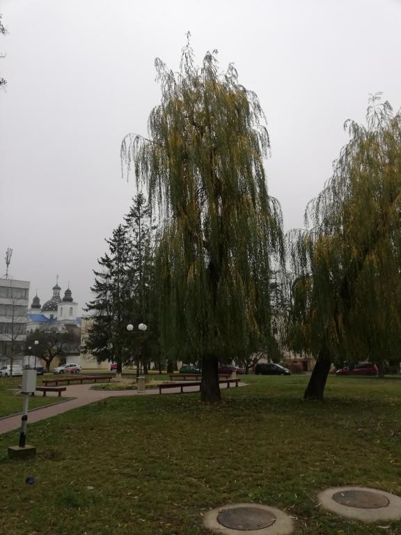Апартаменты Apartment na Zamkovoy Гродно