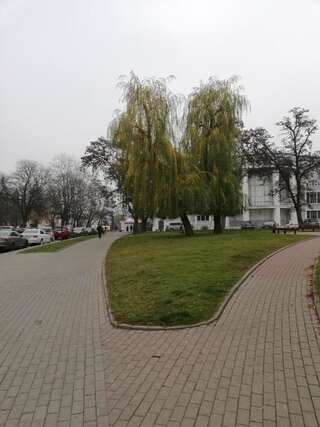 Апартаменты Apartment na Zamkovoy Гродно Апартаменты-32